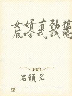 女婿有劲枪枪到底啥我钱飞了