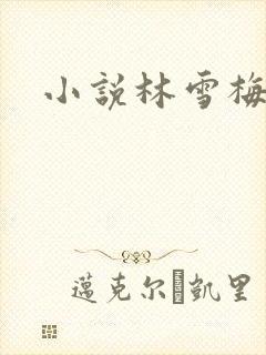 小说林雪梅