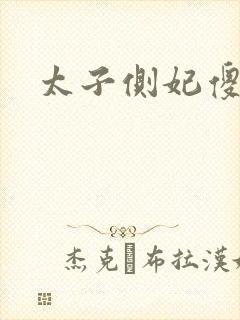 太子侧妃傻乎乎