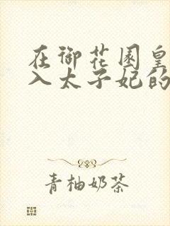 在御花园皇上进入太子妃的小说
