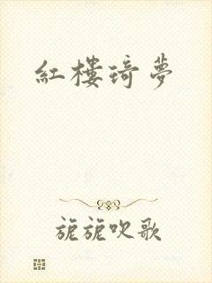 红楼琦梦