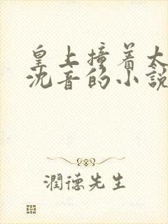 皇上撞着太子妃沈音的小说叫什么