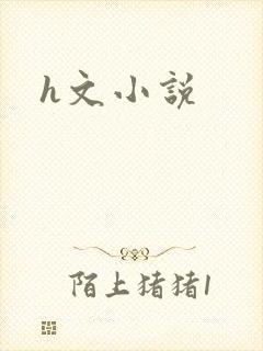 h文小说