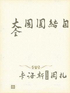 大团圆结目录大全