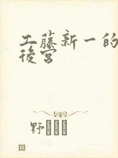 工藤新一的日本后宫