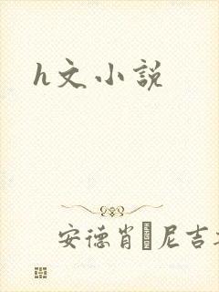 h文小说