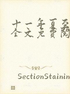 十一年夏至小说全文免费阅读