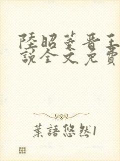 陆昭菱晋王的小说全文免费阅读