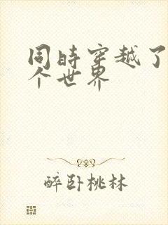 同时穿越了99个世界