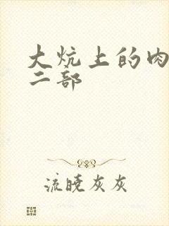 大炕上的肉伦第二部