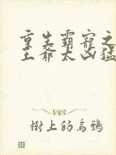 重生霸宠之摄政王爷太凶猛