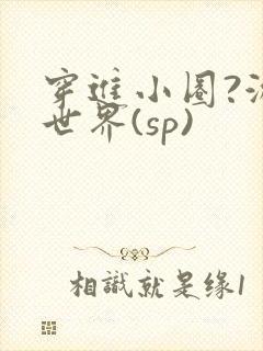 穿进小圈?游戏世界(sp)