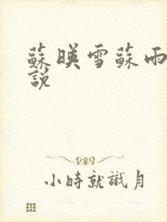 苏映雪苏雨柔小说