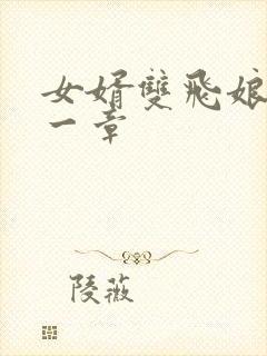 女婿双飞娘俩第一章