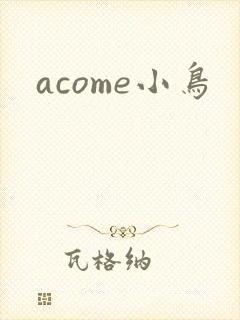 acome小鸟