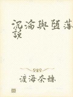 沉沦与堕落的小说