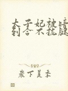 太子妃被暗卫C到合不拢腿