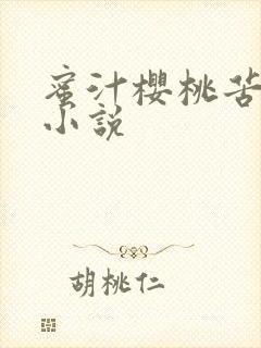 蜜汁樱桃苦咖啡小说