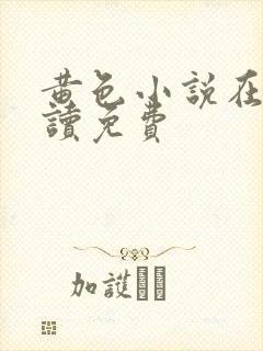 黄色小说在线阅读免费