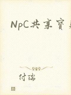 NpC共享宝贝