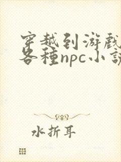 穿越到游戏里和各种npc小说