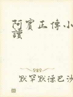 阿宾正传小说在读