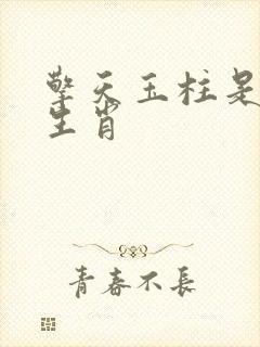 擎天玉柱是什么生肖