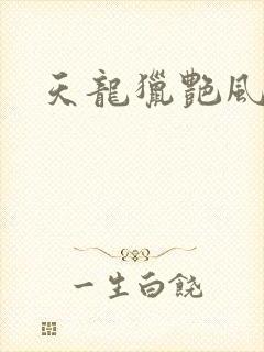 天龙猎艳风流