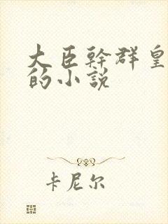 大臣干群皇太后的小说