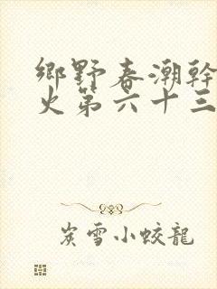 乡野春潮干柴烈火第六十三章