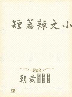 短篇辣文小说