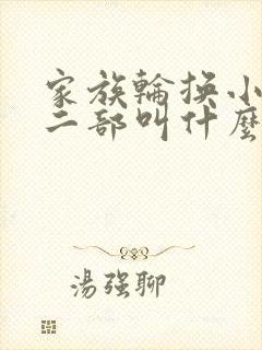 家族轮换小说第二部叫什么名字