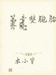 第章双胞胎姐妹齐飞