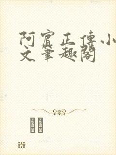 阿宾正传小说全文笔趣阁