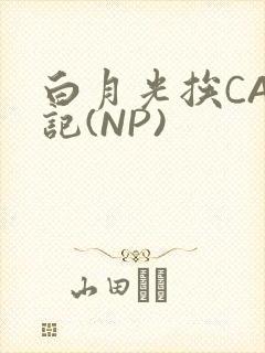 白月光挨CAO记(NP)