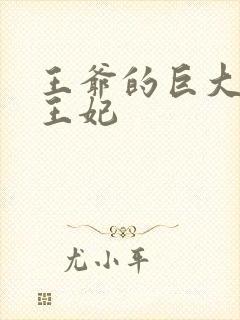 王爷的巨大进入王妃