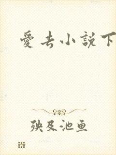 爱去小说下载网