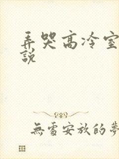 弄哭高冷室友小说
