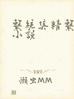 系统集精系统 小说