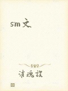 sm文