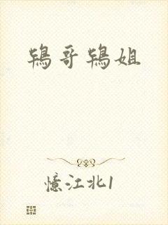 鸨哥鸨姐