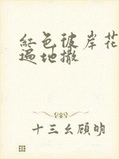 红色彼岸花花瓣遍地撒