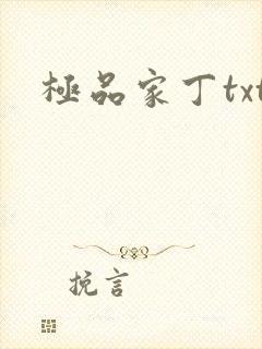 极品家丁txt