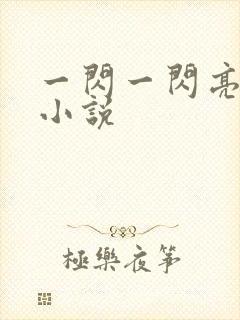 一闪一闪亮星星小说