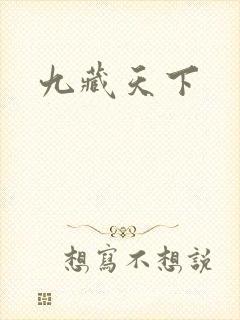 九藏天下