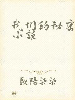 我们的秘密泰剧小说