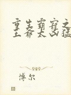 重生霸宠之摄政王爷太凶猛