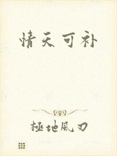 情天可补