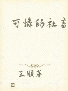 可怜的社畜小说