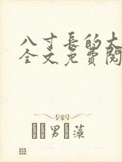 八寸长的大宝贝全文免费阅读